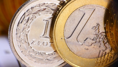 zloty euro emerging europe