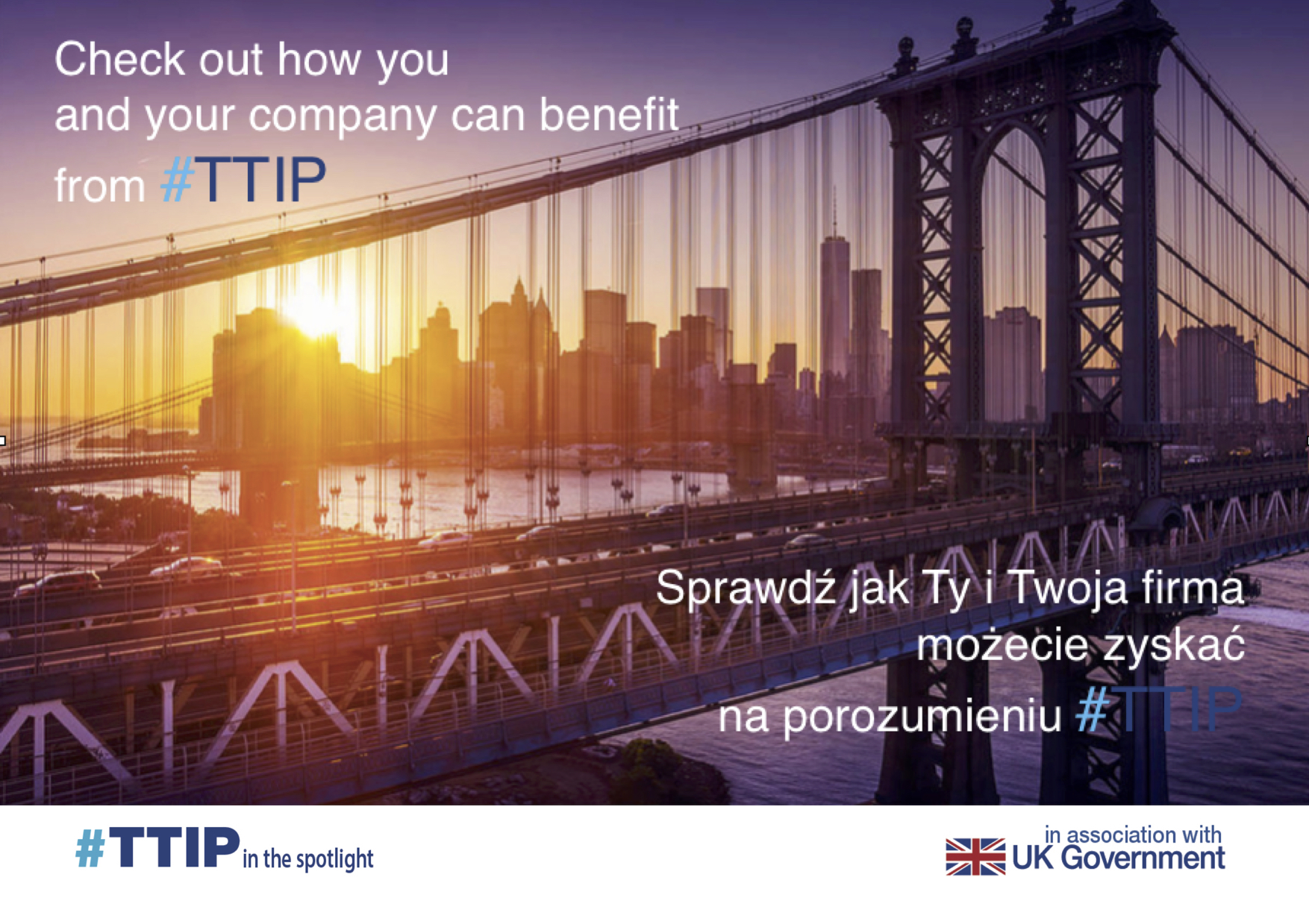 cover photo for TTIP final