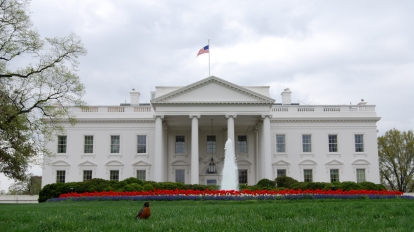 white house