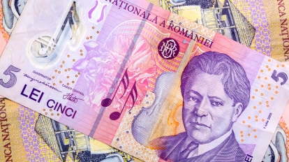 Different Romanian Lei Banknotes on the table