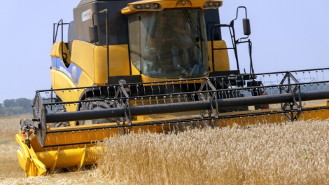 Kharkiv region Ukraine - July 29 2016: Combine harvests wheat on a field in Kharkiv region Ukraine on July 29 2016