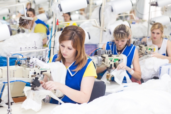 GRODNO BELARUS - DECEMBER 13 2013: Seamstress in textile factory sewing with a industrial sewing machine .