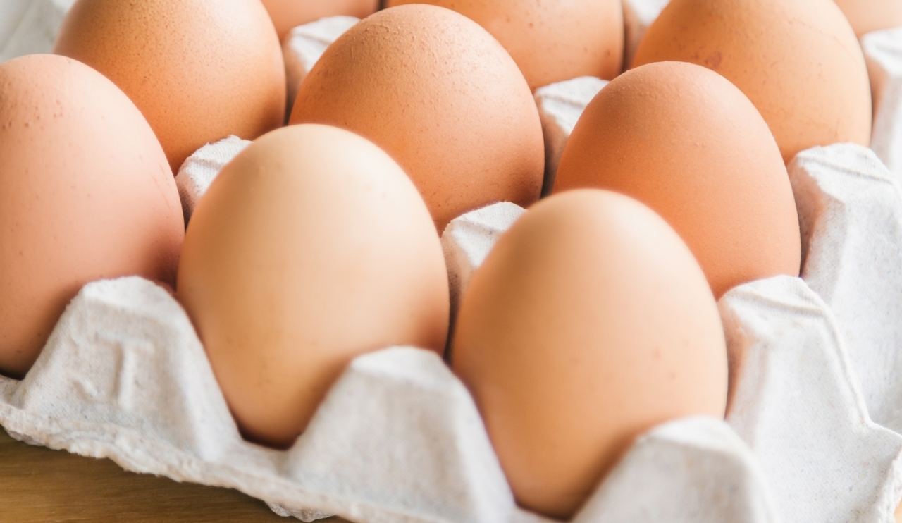 eggs in rack