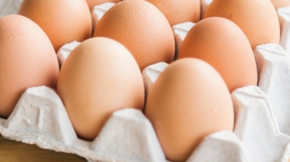 eggs in rack
