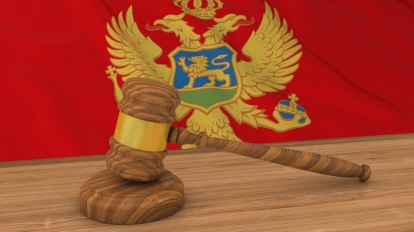 montenegro law reform