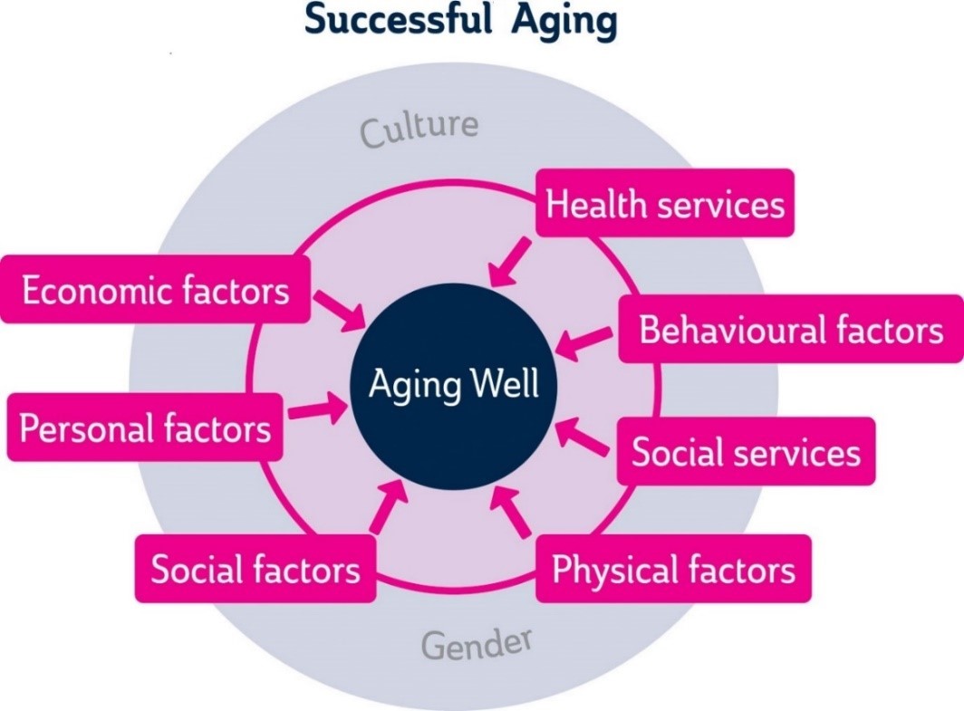 Factors affecting Aging. Healthy Aging Factors. Homelinic personal-Aging. Ageing pdf