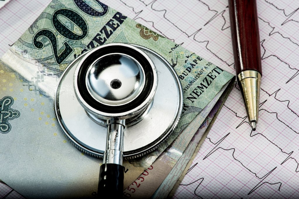 Hungarian healthcare system back in the spotlight
