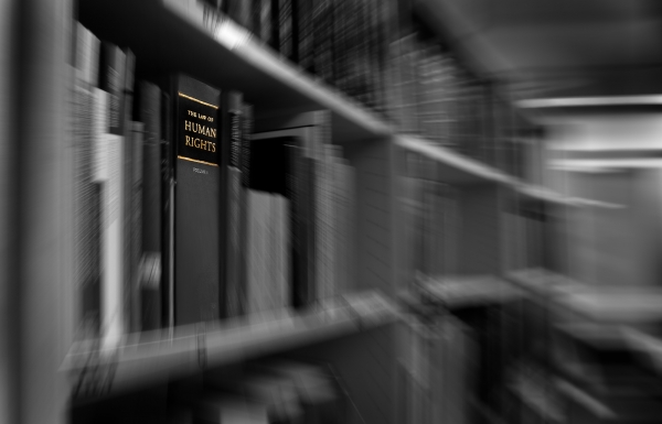 Georgian NGOs warn CoE, ICRC over human rights concerns in Tskhinvali