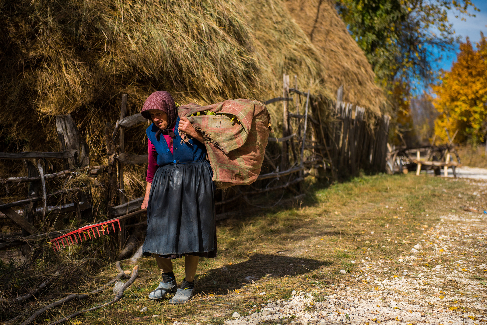 Носить сено. Дагестан женщины носят сено на себе. Как можно одеться старушкой на спектакль про деревню. Women carring a Water in Bucket rural place vector.