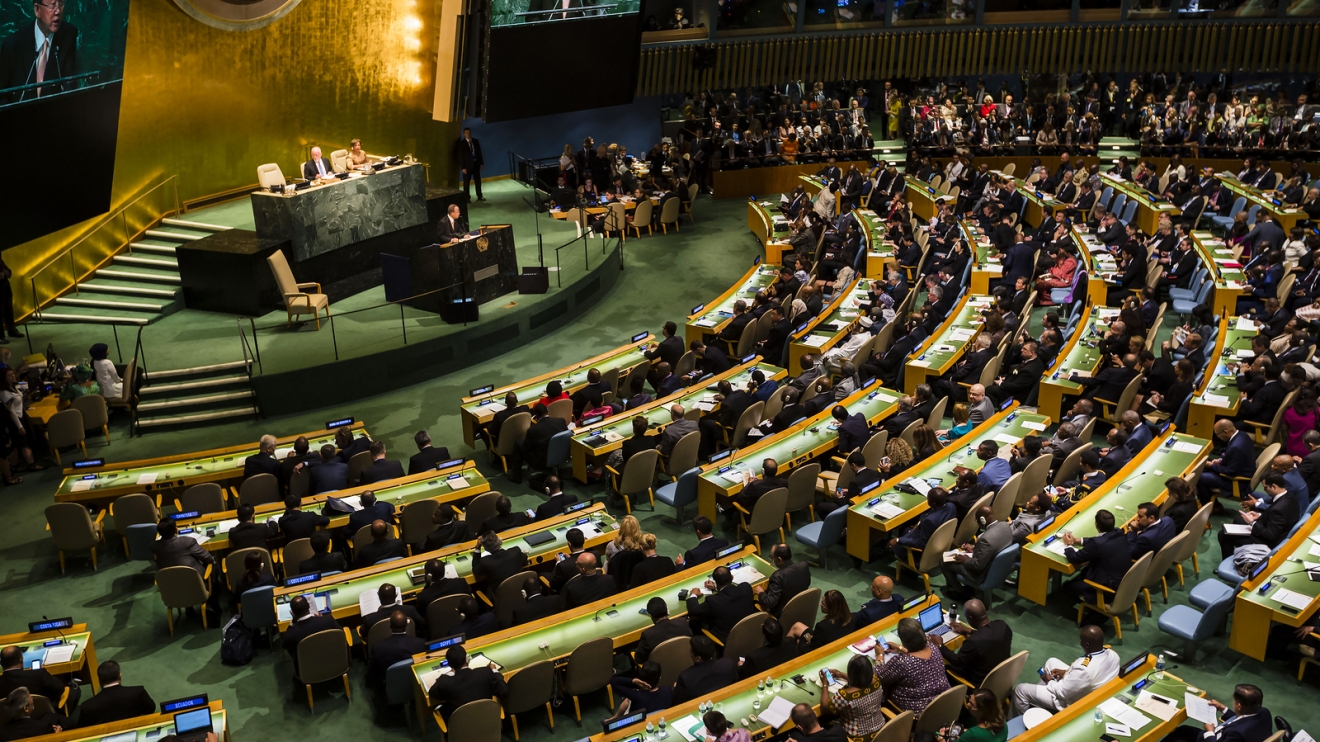 Has the United Nations outlived its usefulness? - Emerging Europe