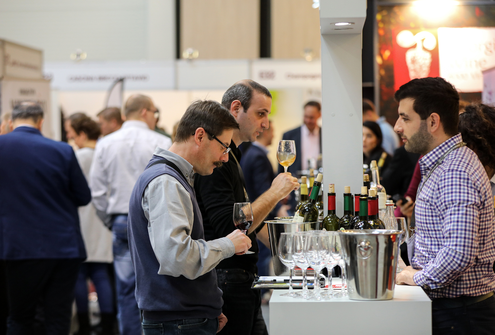 Poland's burgeoning wine industry reports record growth