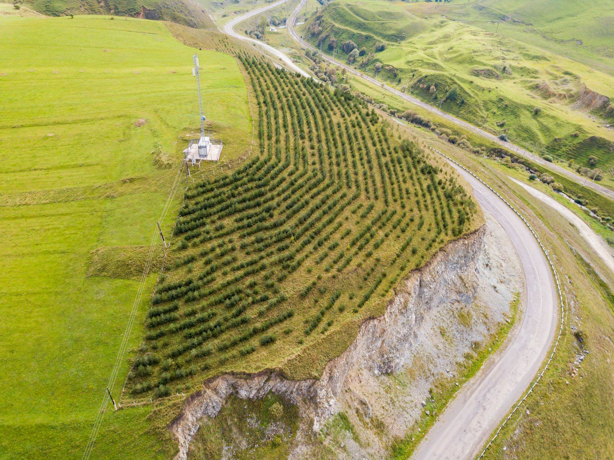 Armenia Tree Project celebrates 25 years of sustainable development