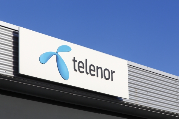 Hungary buys 25 per cent stake in Telenor subsidiary