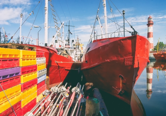 EU introduces cod fishing ban in eastern Baltic