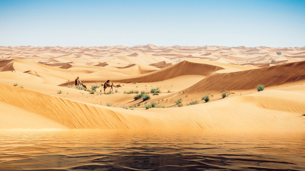 China's desert mirage - Emerging Europe | Intelligence, Community ...