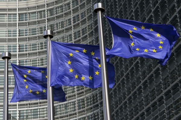 What should emerging Europe expect from the new EU parliament and commission?
