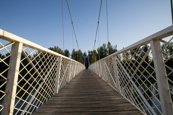 In 2020 we can tackle the divisions in society and between nations, if we build bridges again