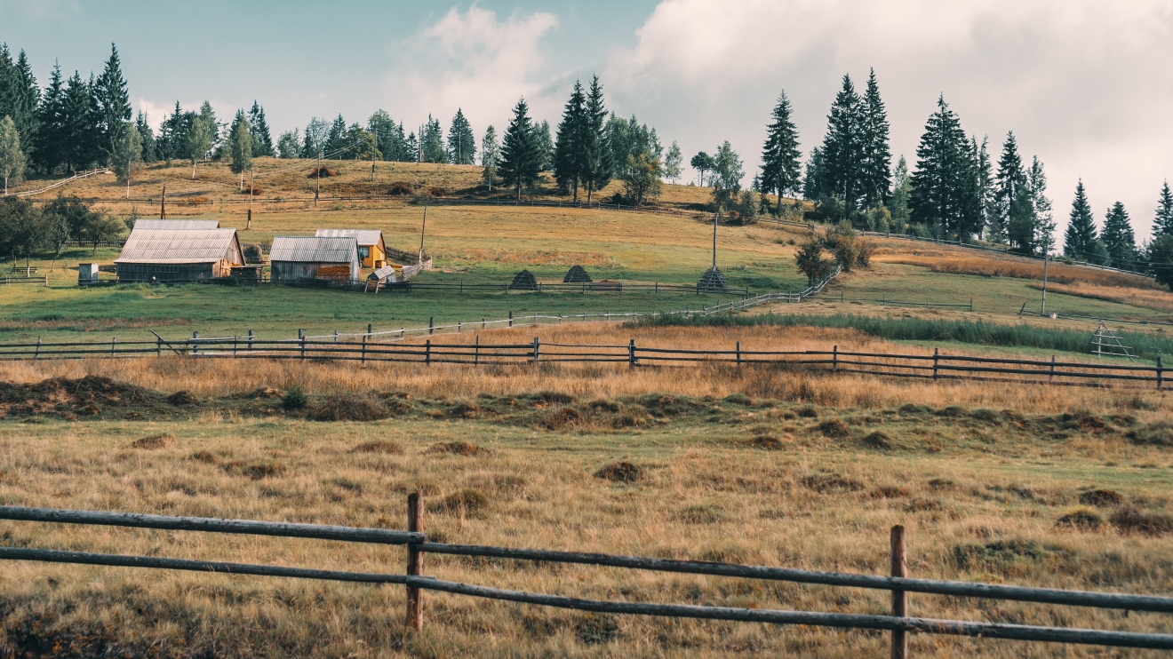 emerging europe ukraine land reform agriculture