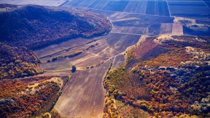 european green deal biodiversity