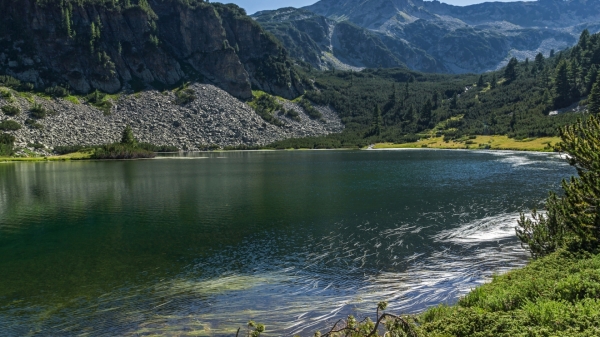 Bulgaria’s Pirin National Park saved from destruction