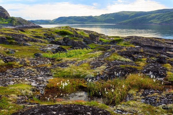 Melting permafrost is a threat not just to the Arctic, but to the entire planet
