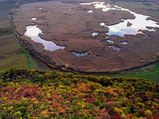 The five Hungarian villages pioneering local solutions to climate change