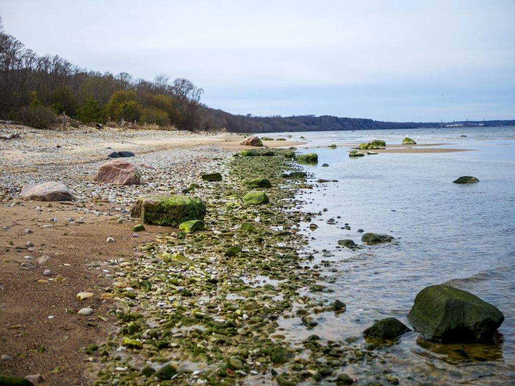 Saving the Baltic Sea Emerging Europe