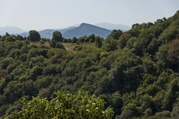 Emerging Europe environmental projects recognised at Natura 2000 awards