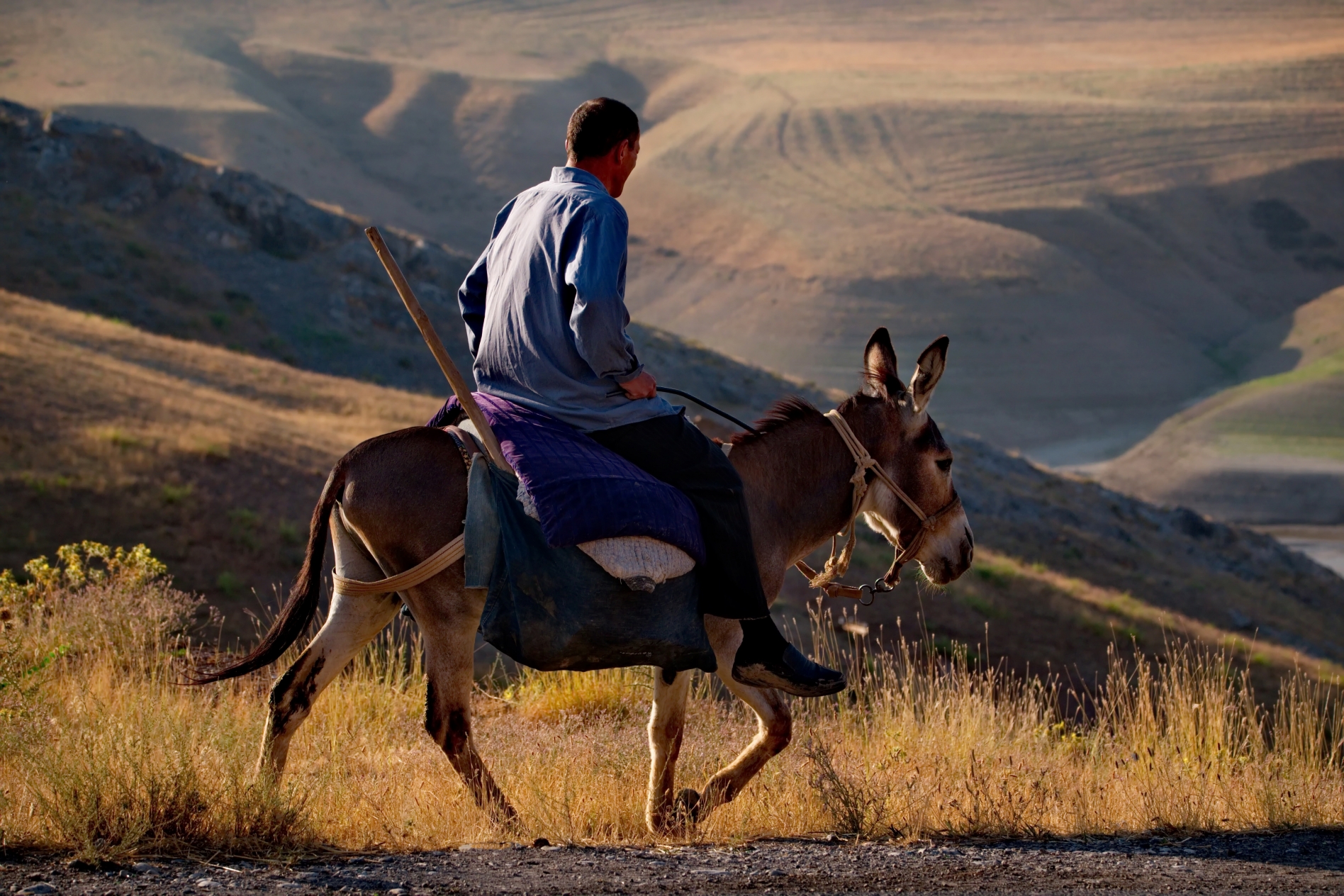 To reduce urban-rural divide, Central Asia must embrace freedom of movement