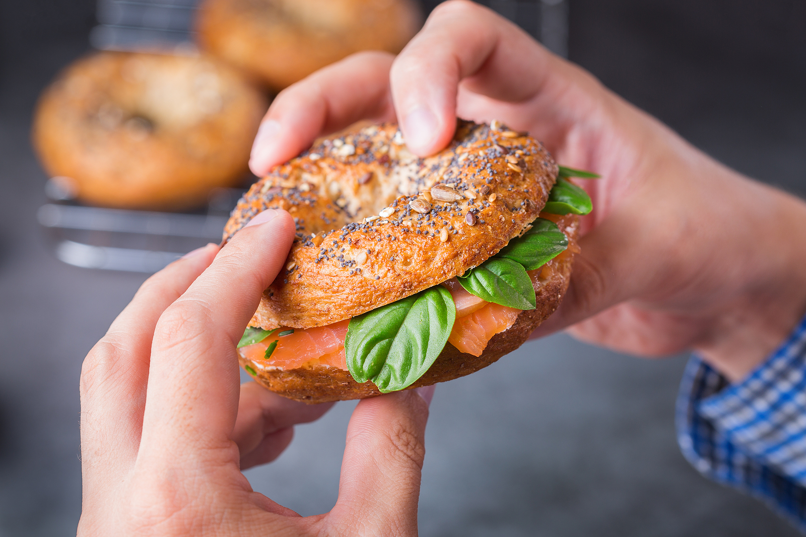 Bringing bagels back to Vilnius: Elsewhere in emerging Europe - Vimarsana News