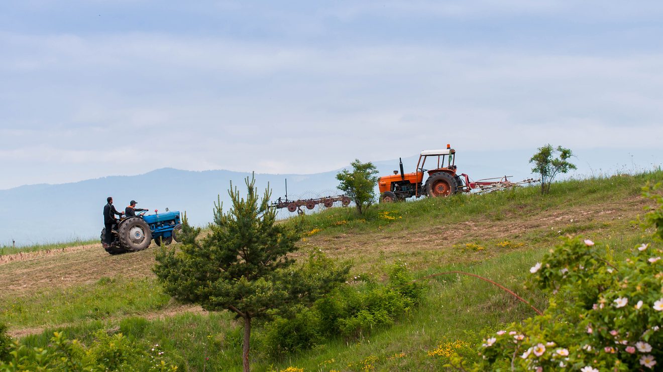 romania farmers