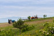 romania farmers