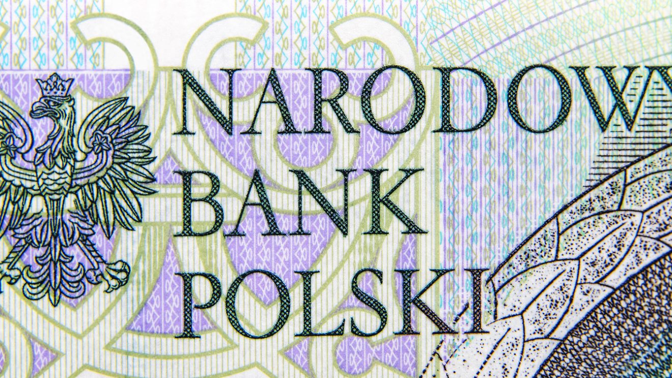 polish zloty