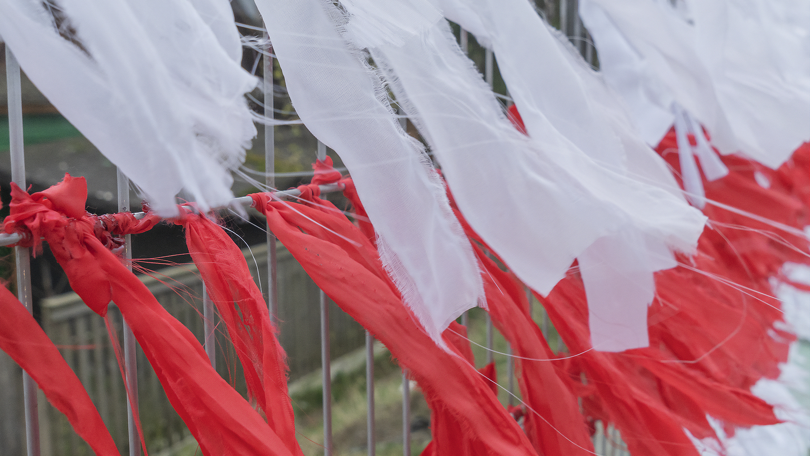 Poles and Belarusians divided by a common history - Vimarsana News