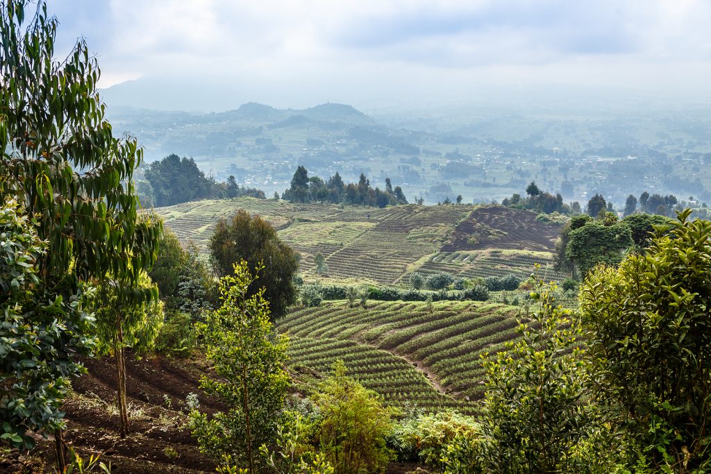 The time has come for the EU to engage with African agriculture