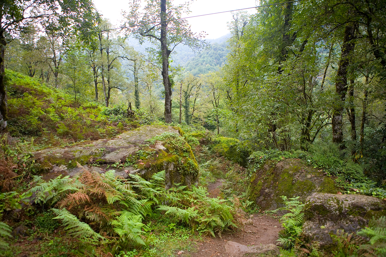 Emerging Europe's new additions to the UNESCO World Heritage List - Vimarsana News