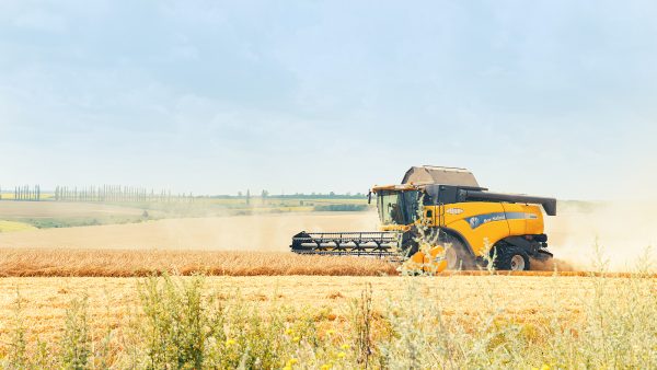 Ukraine restarts grain exports, raises harvest forecasts: Emerging Europe this week