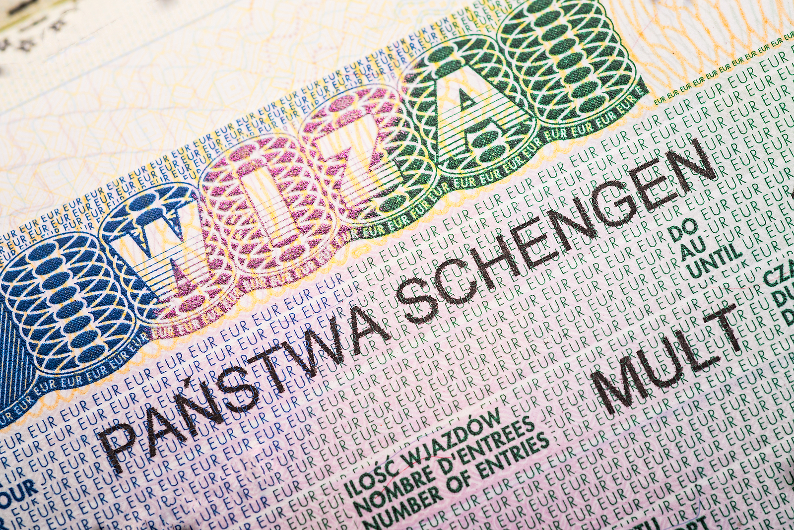Простые визы страны. Виза шенген. Польская виза. Виза в Польшу. Шенген Польша.