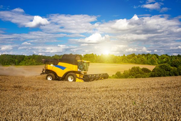 Ukrainian farmers set to keep tariff-free access to EU markets