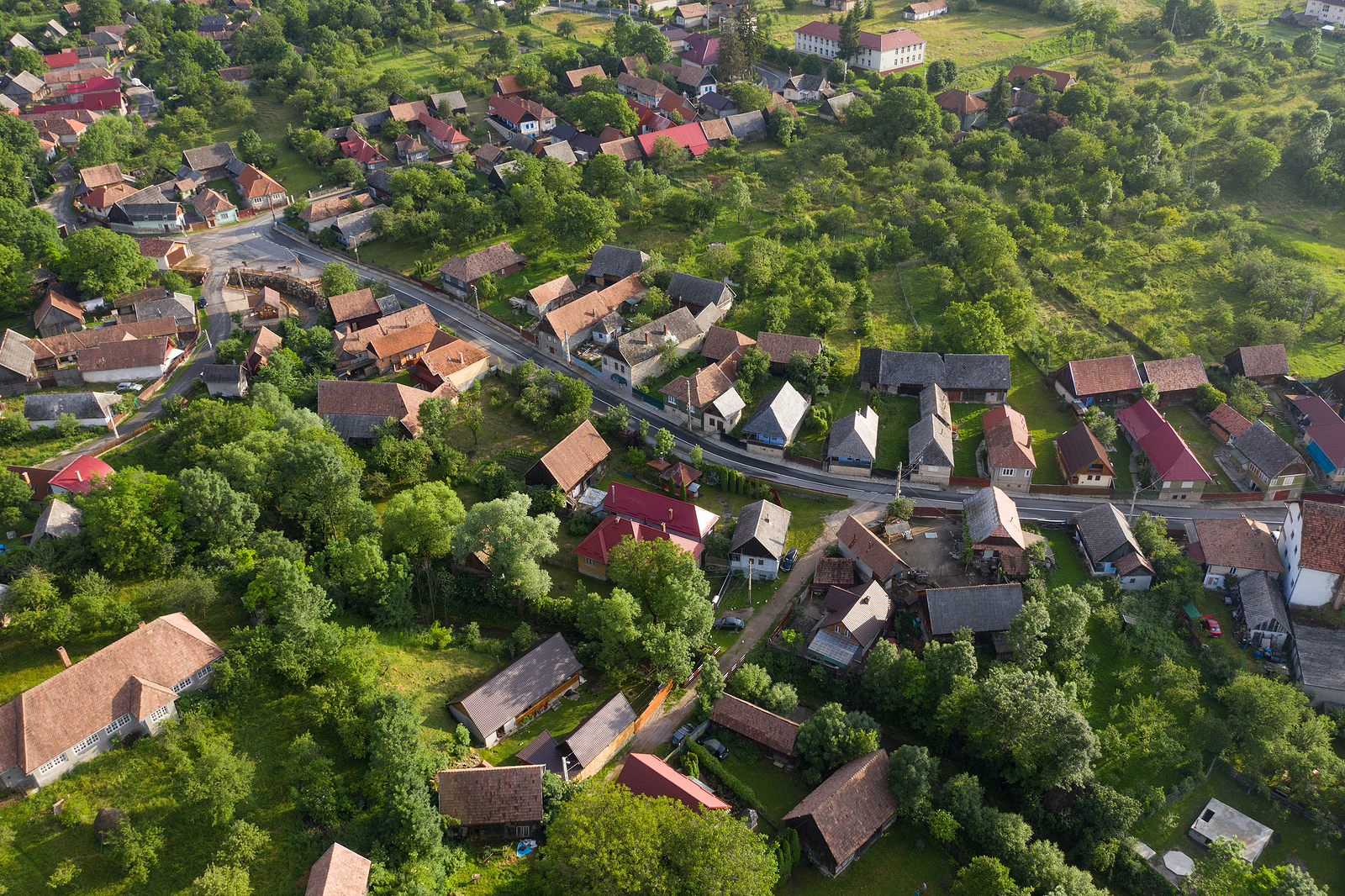 Why the words rude and vile explain Romania - Vimarsana News