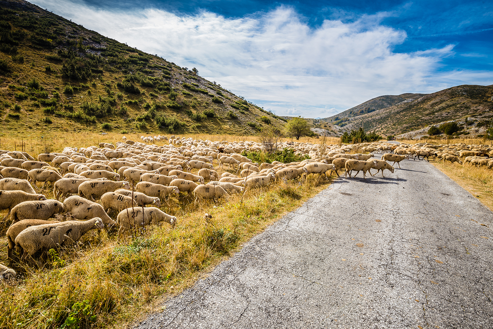 Adopting green policies can reduce risks to North Macedonia's agriculture sector - Vimarsana News