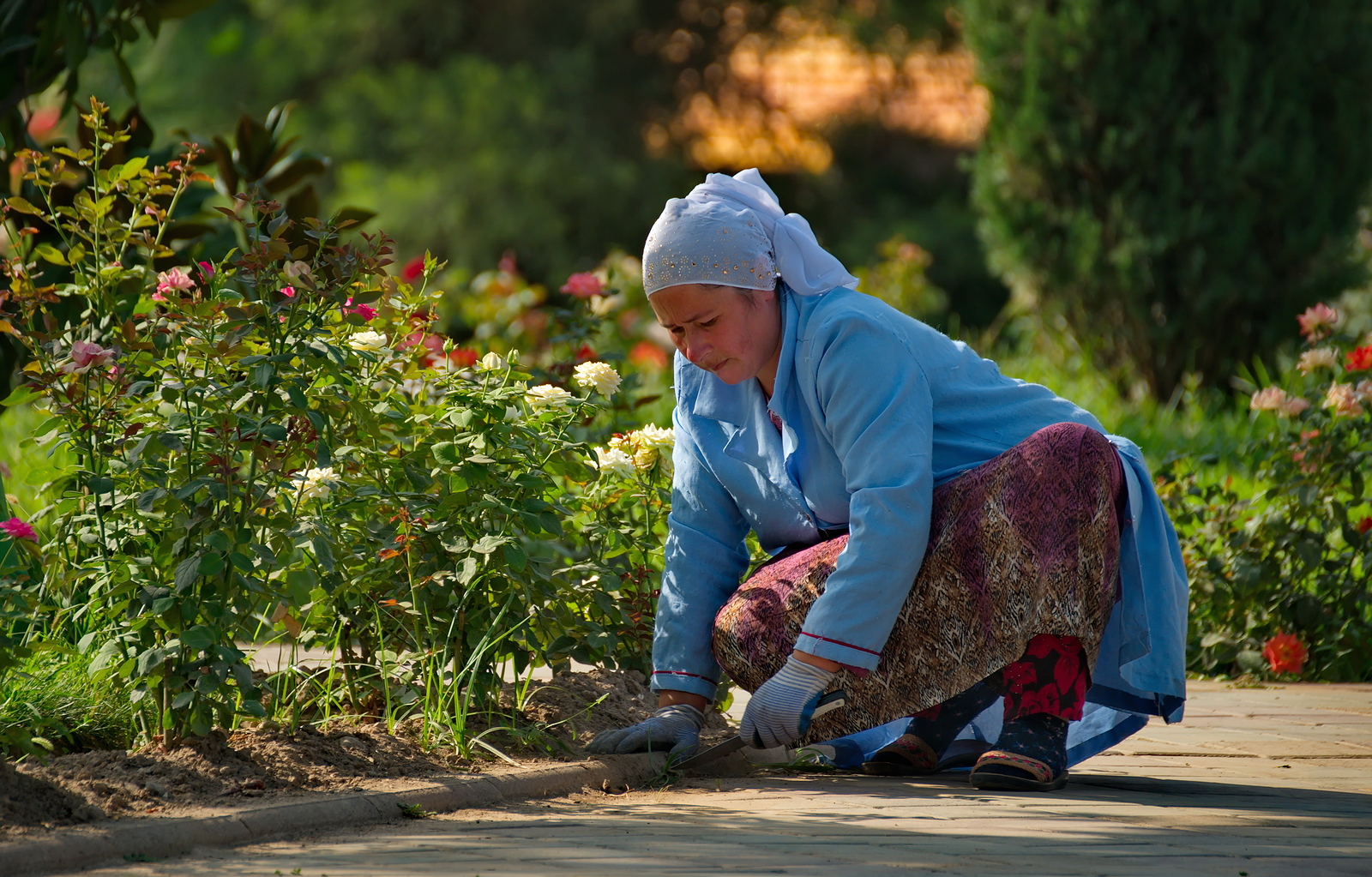 Strong growth in Tajikistan masks underlying problems - Vimarsana News