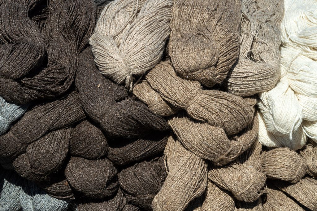 Pagaminta besivystančioje Europoje: vieną megzti, vieną sušukuoti