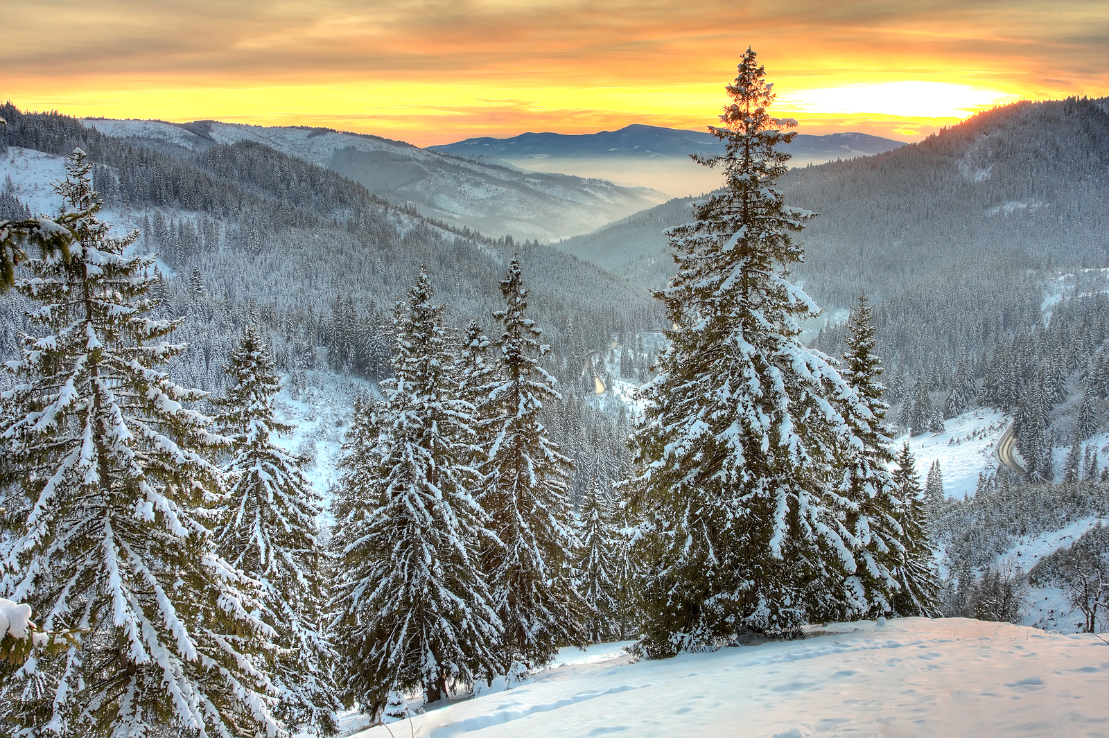 An introduction to Romania in five books - Vimarsana News