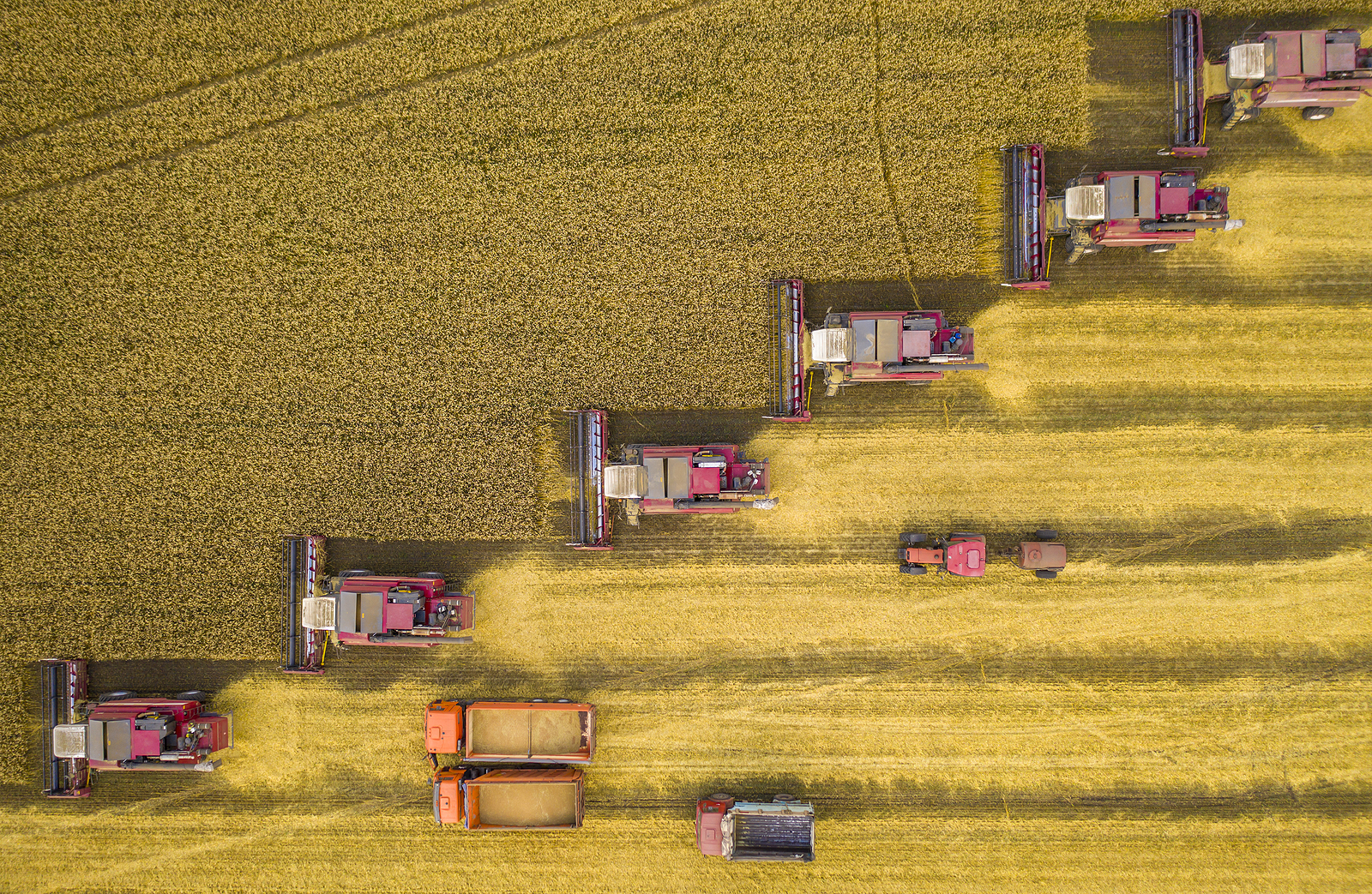 bigstock-Harvesters-And-Other-Agricultu-468724625