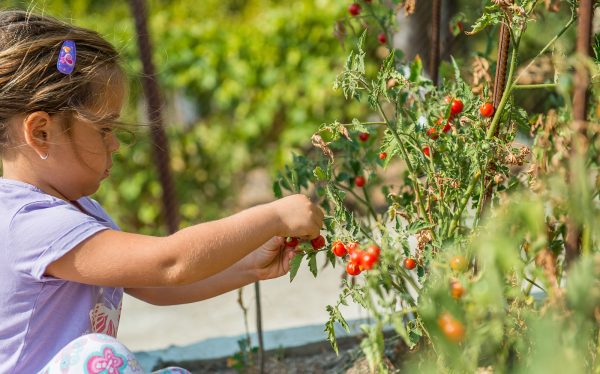 Human capital, not birth rates, key to building demographic resilience