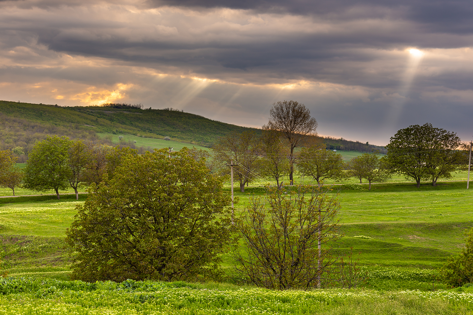 bigstock-Farmlands-And-Meadows-In-The-M-434698163