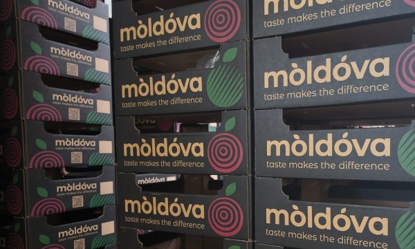 Russia’s war on Ukraine sends Moldovan fruit packing—west