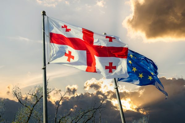 Suspending Georgia’s EU accession process hurts the Georgian people, not the government