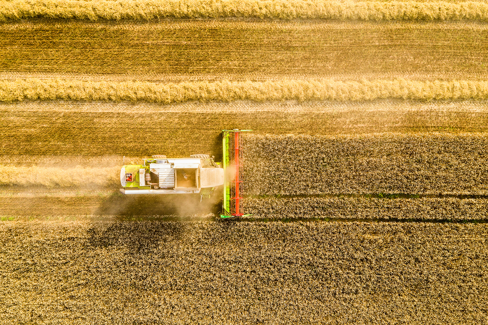 bigstock-Harvesting-Time-Agriculture–315595168
